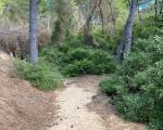 The Camino de Ronda has great environmental and landscape value