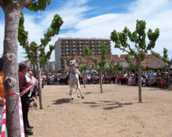 Sinaugura la II Fira dAbril a la Plaça dels Pins de lHospitalet de lInfant